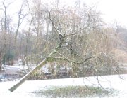 Sonsbeekpark, Arnhem  (c) Henk Melenhorst : winter, sneeuw, snow, Arnhem, Sonsbeekpark, Sonsbeek